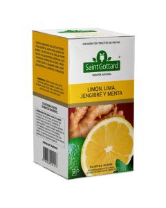 LIMÓN, LIMA, JENGIBRE Y MENTA x20